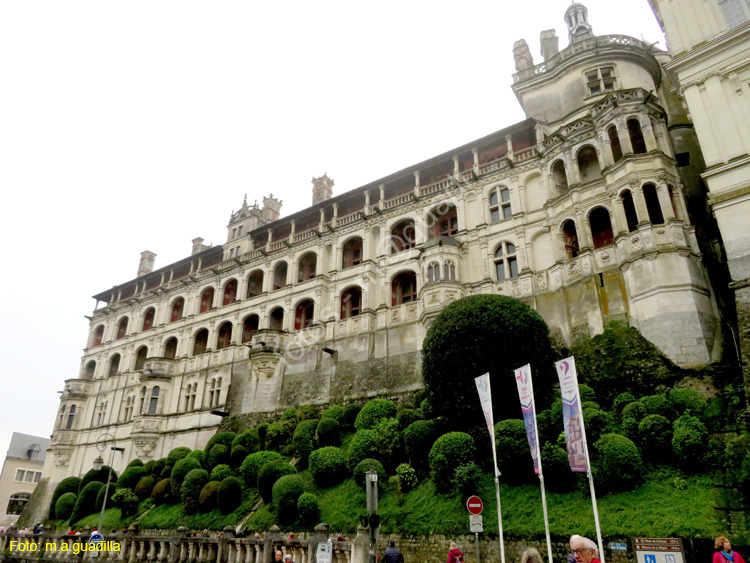 BLOIS (102) Castillo Real