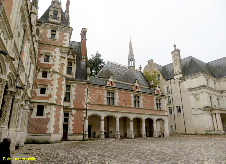 BLOIS (107) Castillo Real