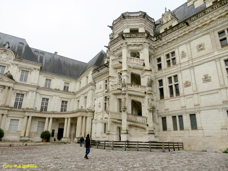 BLOIS (109) Castillo Real