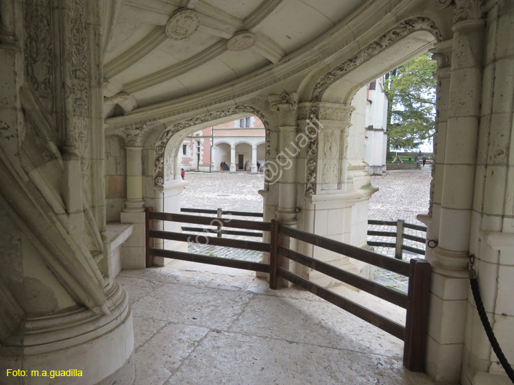 BLOIS (114) Castillo Real