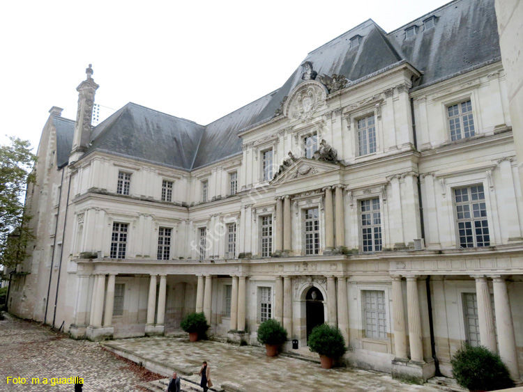 BLOIS (116) Castillo Real