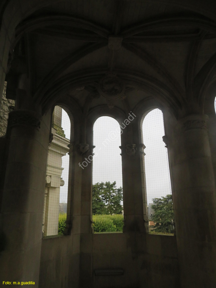 BLOIS (146) Castillo Real