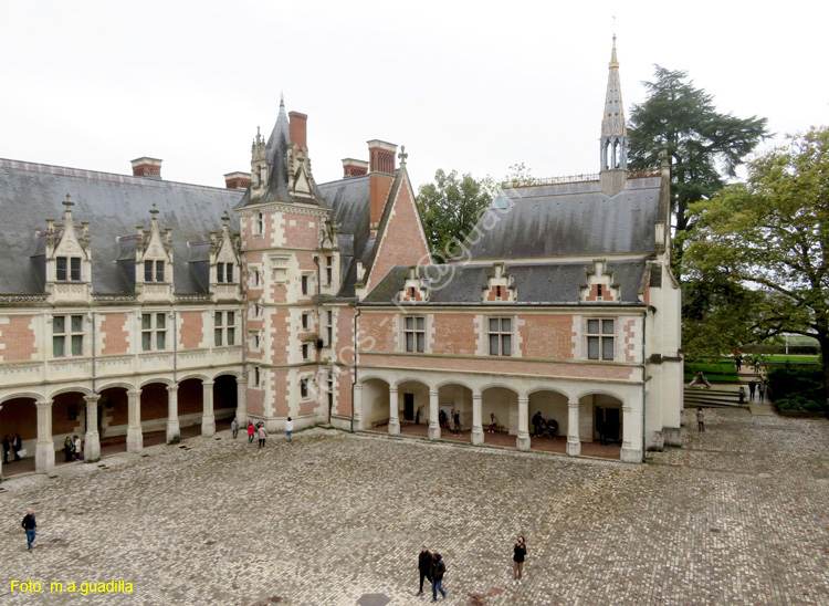 BLOIS (157) Castillo Real