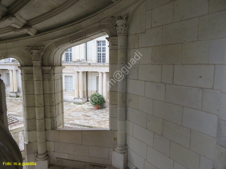 BLOIS (158) Castillo Real