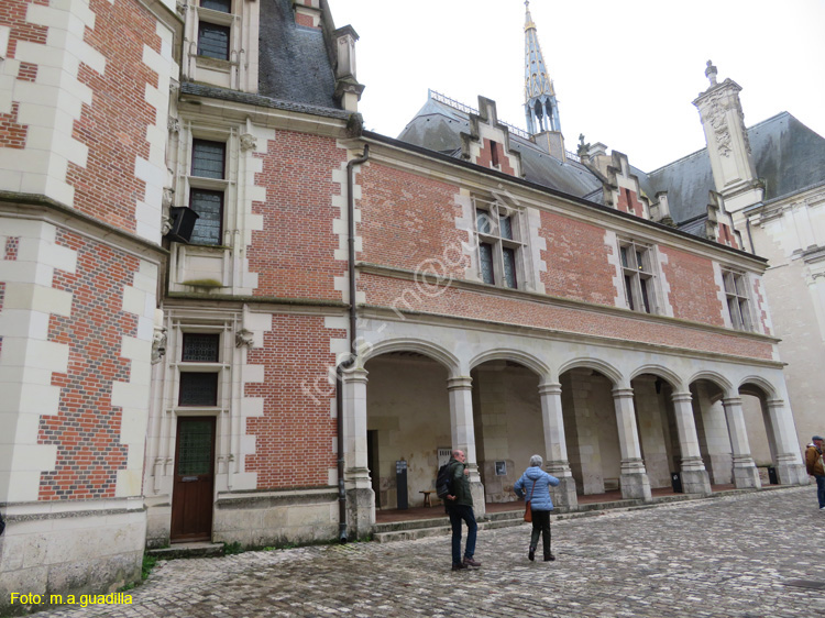 BLOIS (177) Castillo Real