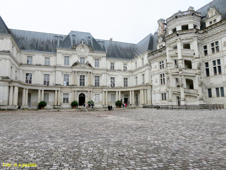 BLOIS (178) Castillo Real