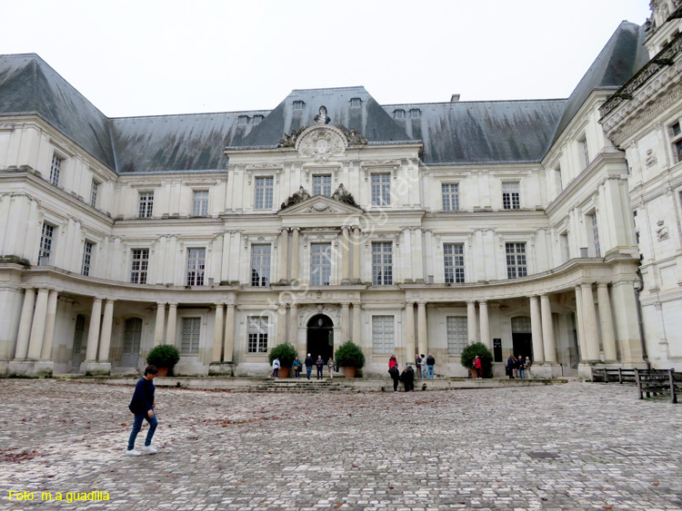 BLOIS (179) Castillo Real