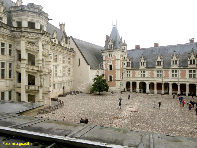 BLOIS (190) Castillo Real