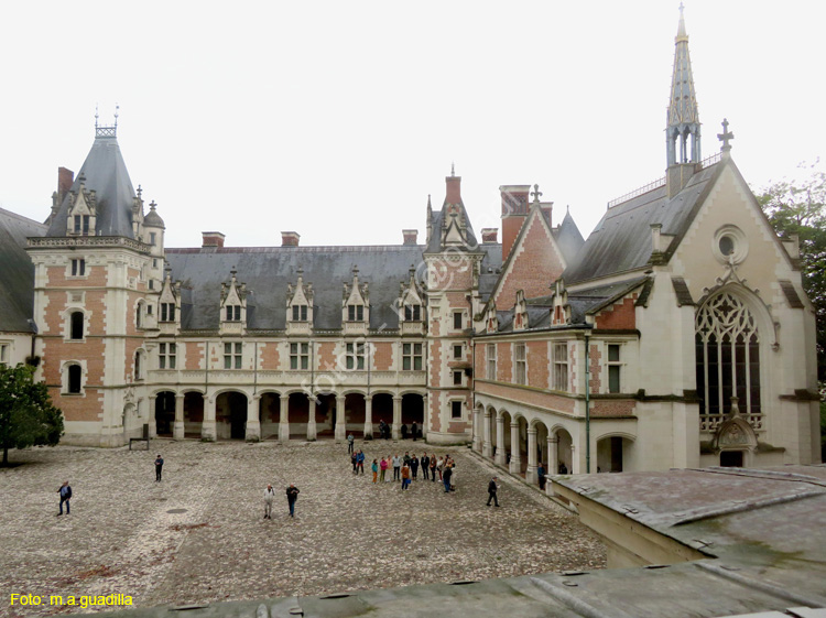 BLOIS (191) Castillo Real