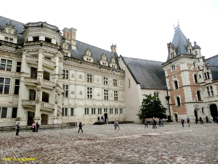 BLOIS (195) Castillo Real