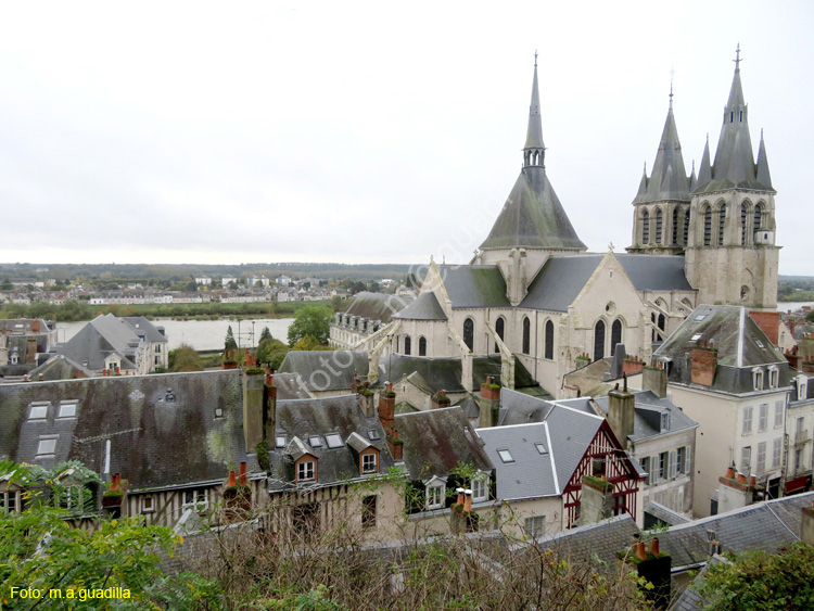 BLOIS (202) Castillo Real