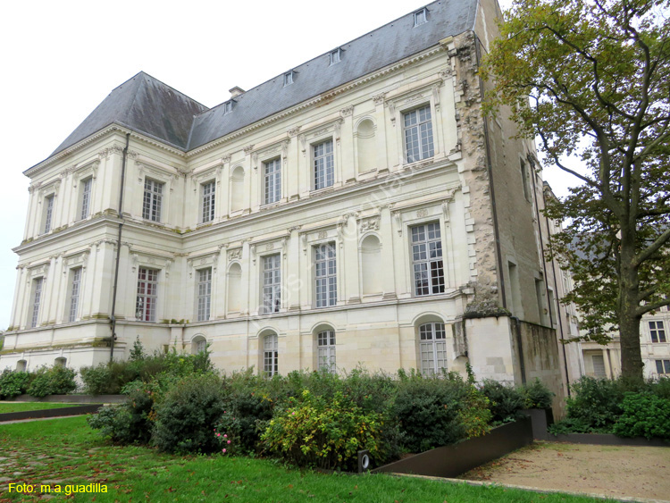 BLOIS (203) Castillo Real