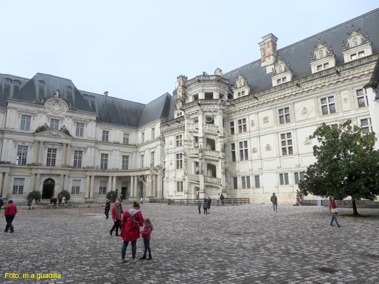 BLOIS (207) Castillo Real