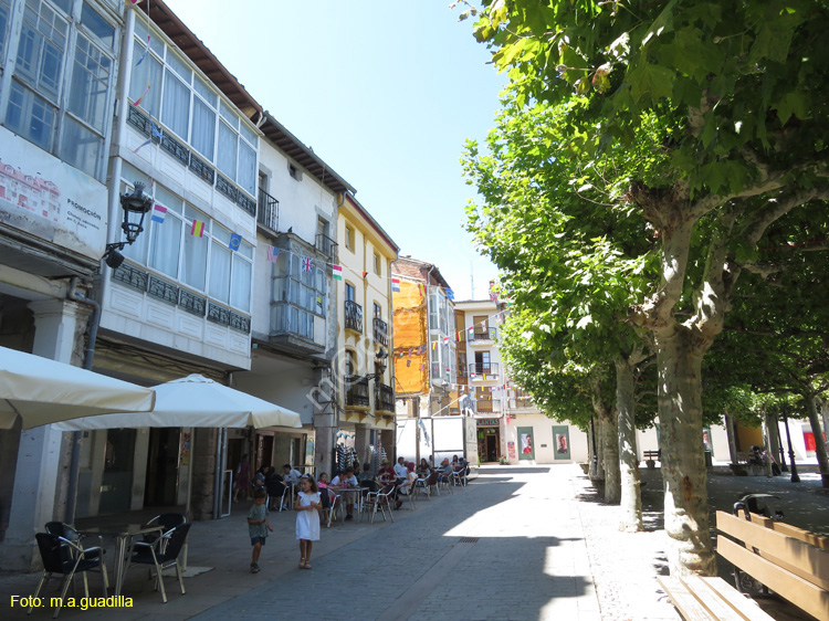 BRIVIESCA (104) Plaza Mayor