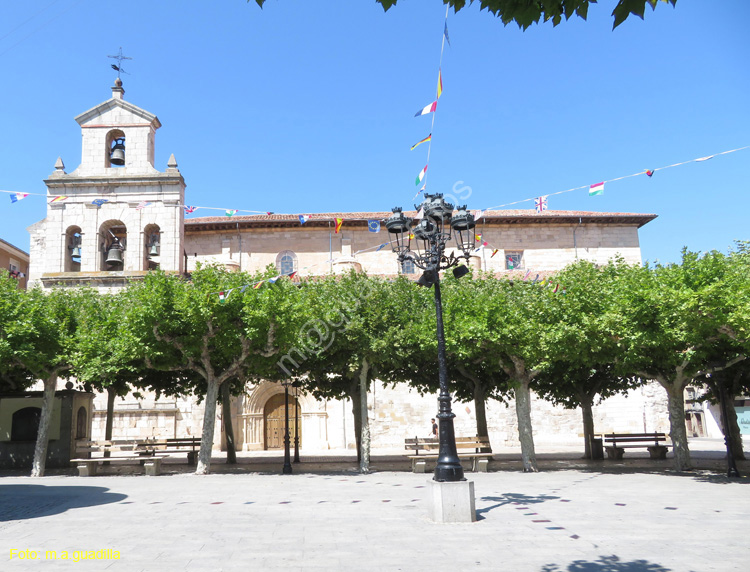 BRIVIESCA (139) Iglesia de San Martin