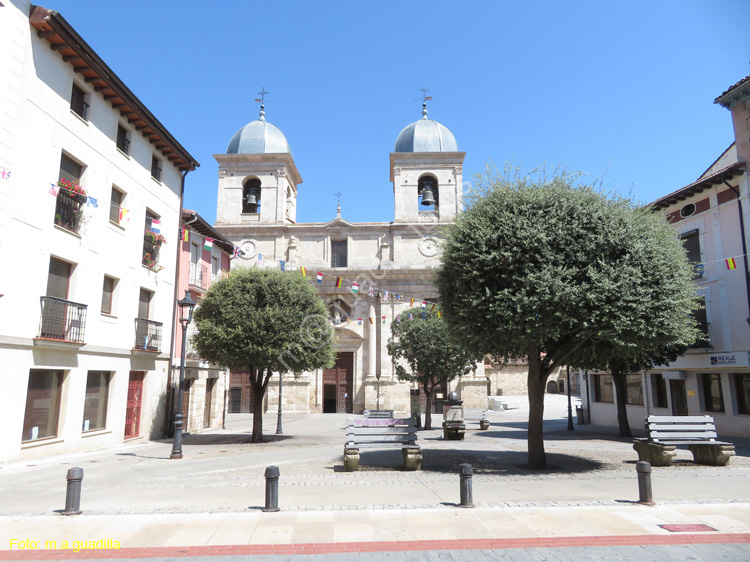 BRIVIESCA (178) Plaza de Santa Maria