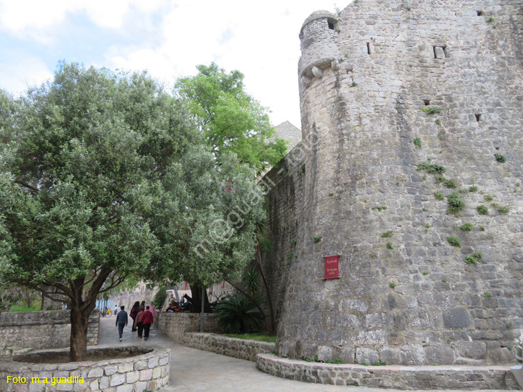 Montenegro - Budva (127)