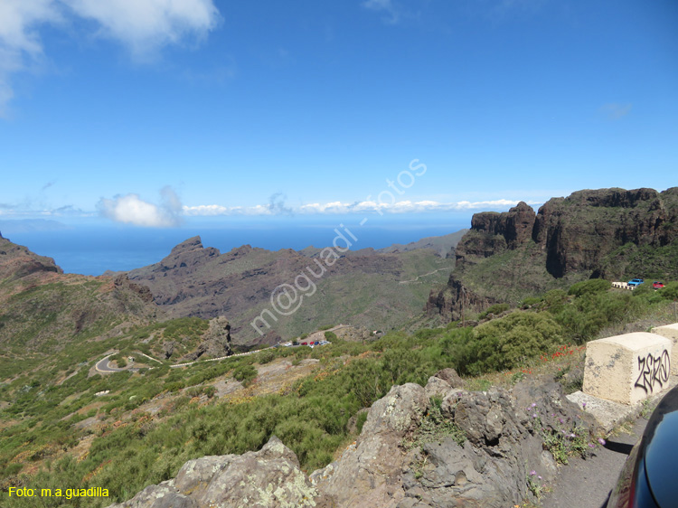 BUENAVISTA DEL NORTE (103) MASCA