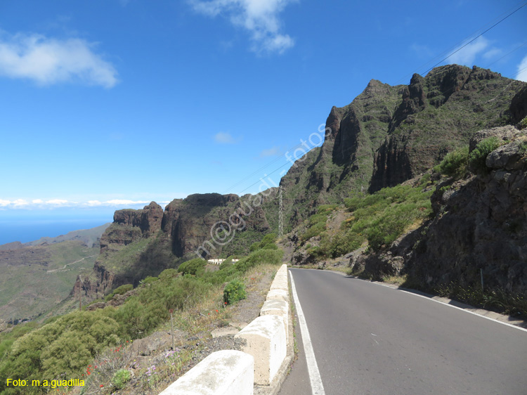 BUENAVISTA DEL NORTE (108) MASCA