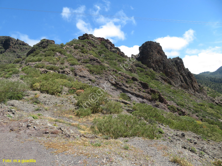 BUENAVISTA DEL NORTE (110) MASCA