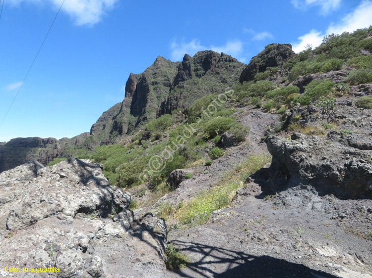 BUENAVISTA DEL NORTE (111) MASCA