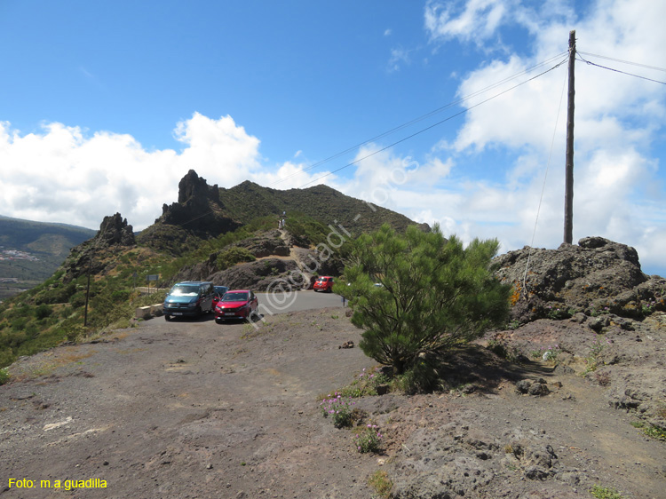 BUENAVISTA DEL NORTE (113) MASCA