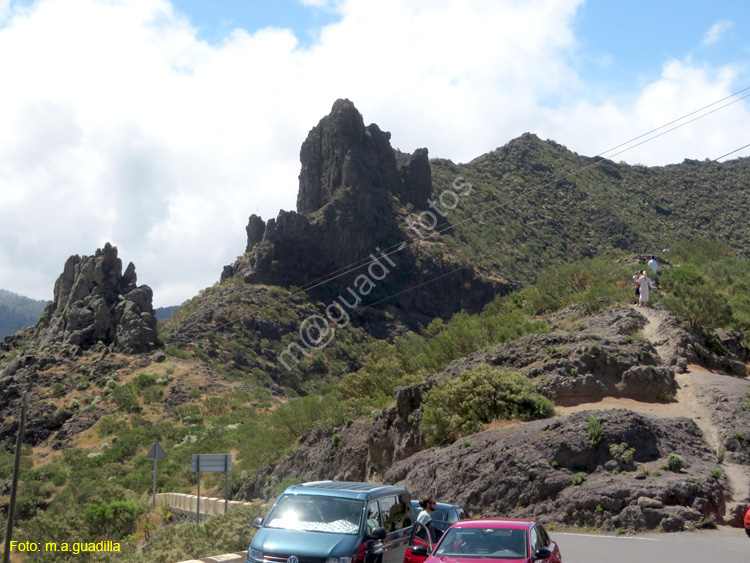 BUENAVISTA DEL NORTE (114) MASCA