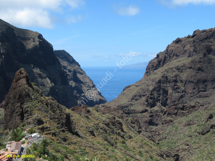 BUENAVISTA DEL NORTE (117) MASCA