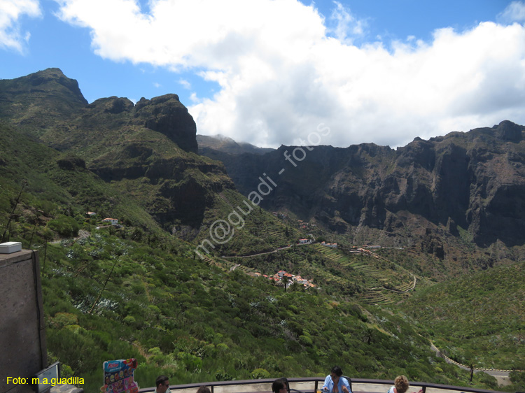 BUENAVISTA DEL NORTE (121) MASCA