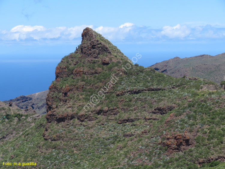 BUENAVISTA DEL NORTE (124) MASCA