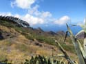 BUENAVISTA DEL NORTE (106) MASCA