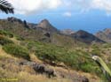 BUENAVISTA DEL NORTE (107) MASCA