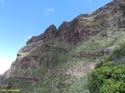 BUENAVISTA DEL NORTE (116) MASCA