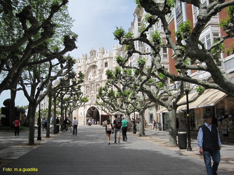 Burgos (168) El Espolon 2015