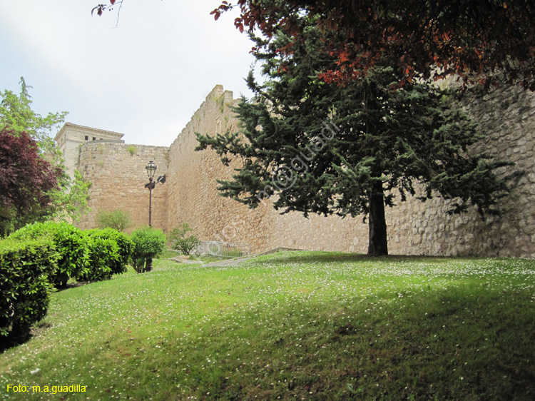 Burgos (277) Paseo de los Cubos 2015