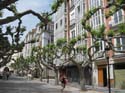 Burgos (166) El Espolon 2015