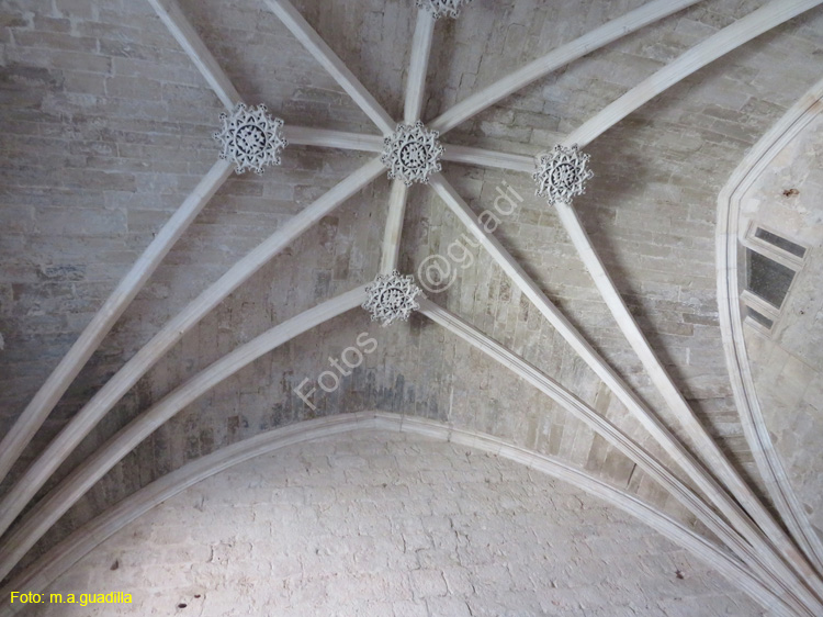 Burgos (118) Cartuja de Miraflores