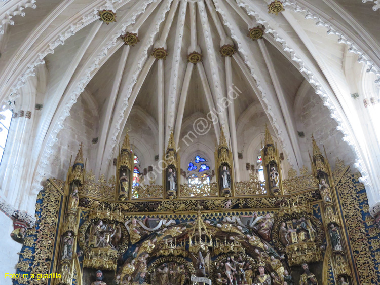 Burgos (169) Cartuja de Miraflores