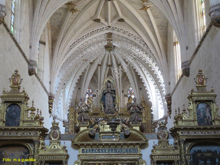 Burgos (196) Cartuja de Miraflores