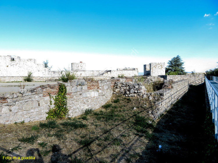 Burgos (102) Castillo