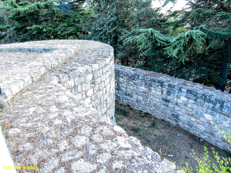 Burgos (106) Castillo