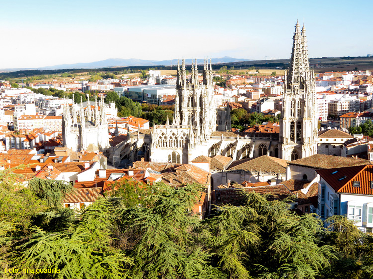 Burgos (119) Castillo