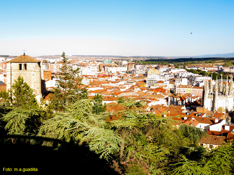 Burgos (120) Castillo