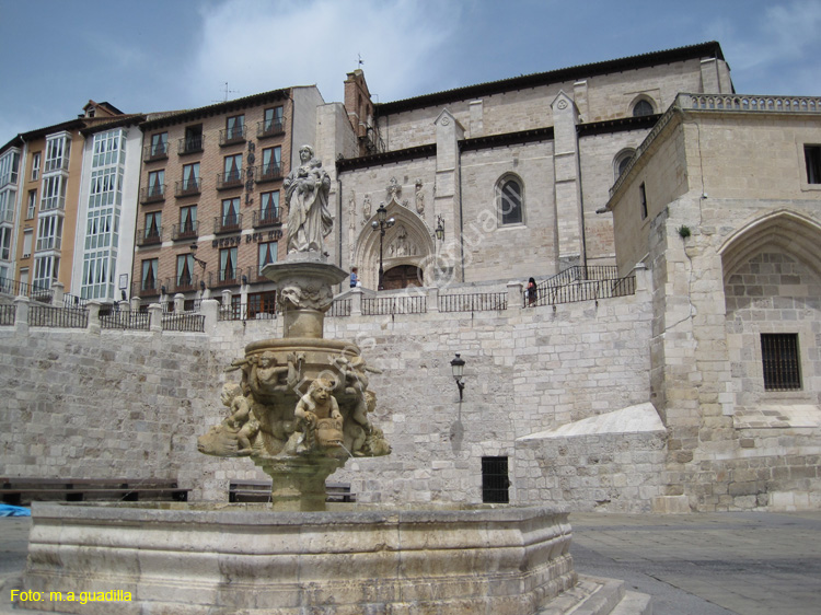 Burgos (112) Catedral