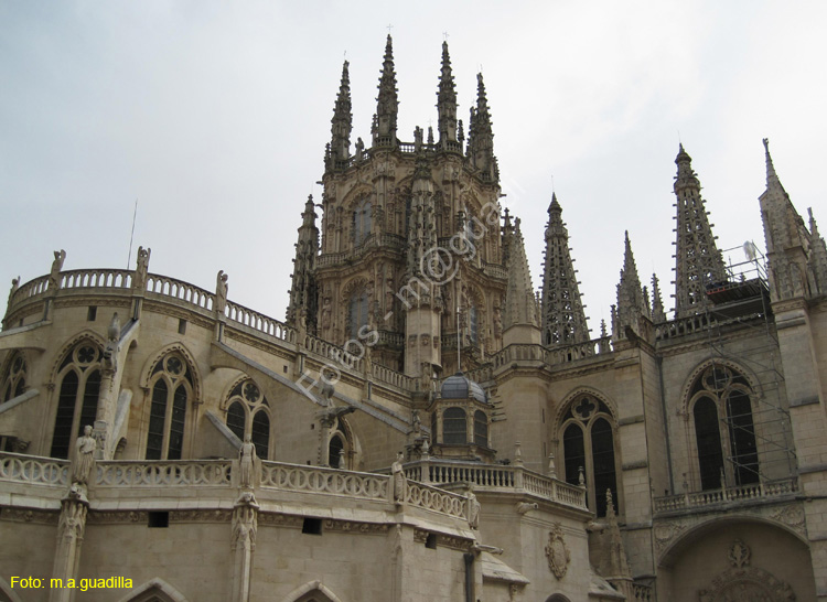Burgos (126) Catedral