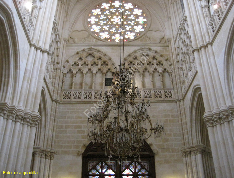 Burgos (193) Catedral