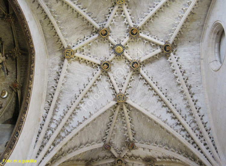 Burgos (207) Catedral