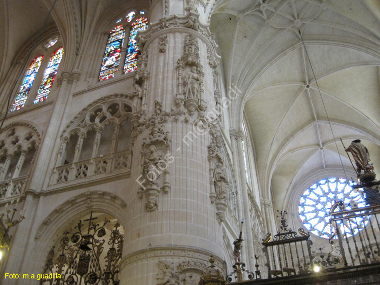 Burgos (231) Catedral