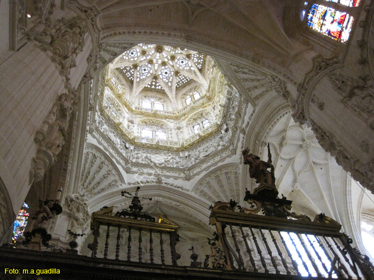 Burgos (237) Catedral