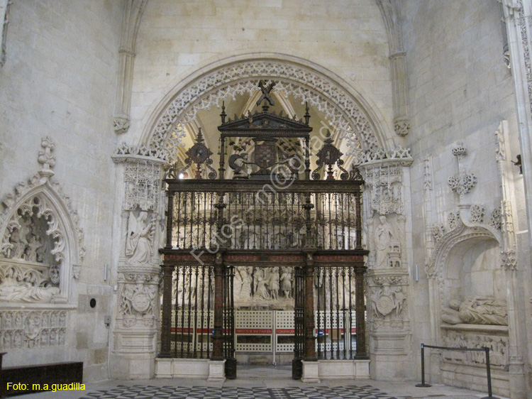 Burgos (268) Catedral